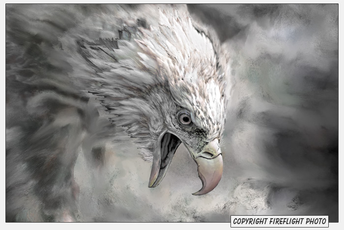 Screaming Bald Eagle Painting