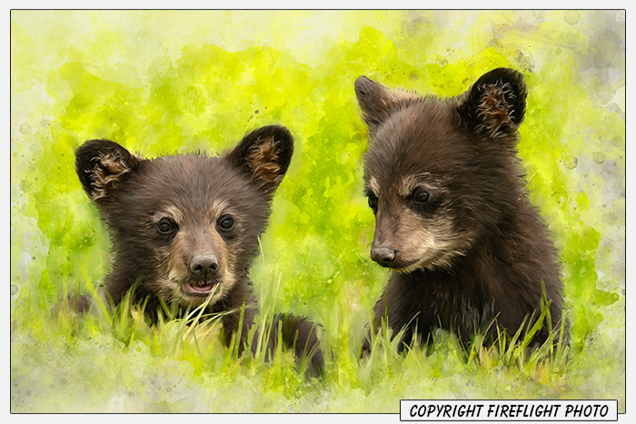 Two Black Bear Cubs Painting