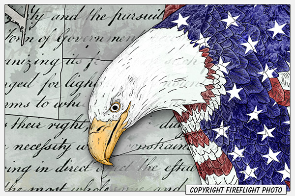 Patriotic Bald Eagle Pen and Ink Painting Detail