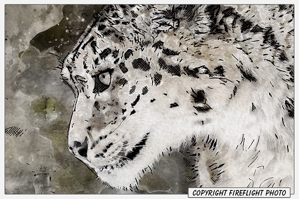 Snow Leopard Face Painting Detail