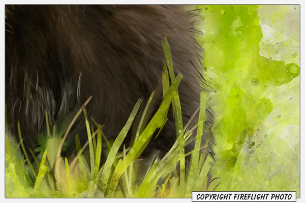 Black Bear and Grass Painting Detail