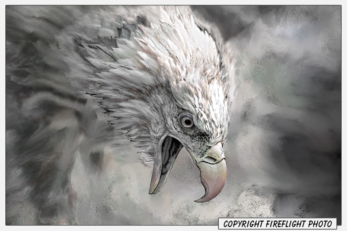Screaming Bald Eagle Painting