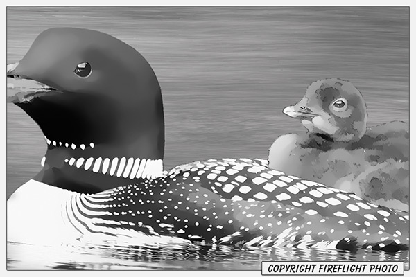 Loon Family in Pond Painting