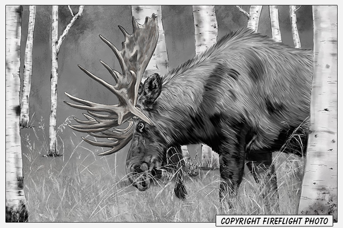 Moose in Woods Painting Detail