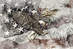 Patriotic Eagle Painting