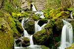 Mossy Covered Waterfall NH Photo