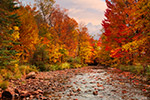 Beautiful Creek Scene in Fall Foliage NH Photo