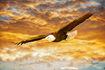 Stunning Sunset Bald Eagle Painting