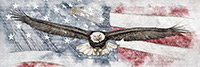 Patriotic Bald Eagle and Flag Artwork Panoramic