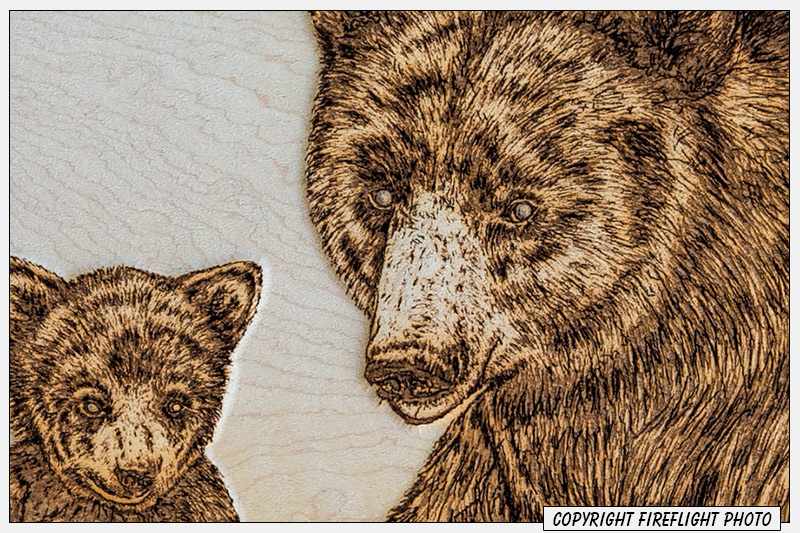 Detail of pyrography artwork