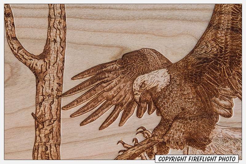 Bald Eagle Nest Pyrography Detail